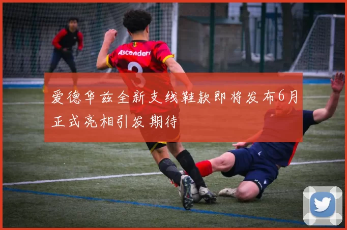 爱德华兹全新支线鞋款即将发布6月正式亮相引发期待